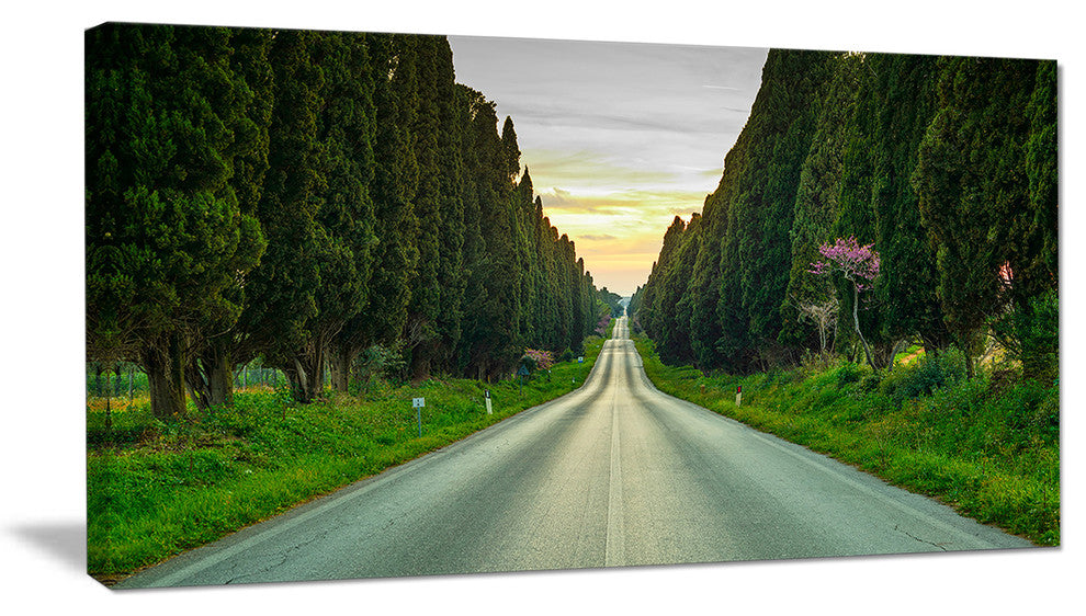 "Straight Road Through Cypress Trees" Landscape Wall Art, 1 Panel, 60"x28"