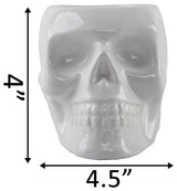 4.5X3.5 Ceramic Sugar Skull Planter, White