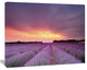 Beautiful Sunset over Lavender Rows, Landscape Canvas Wall Art, 40"x30"
