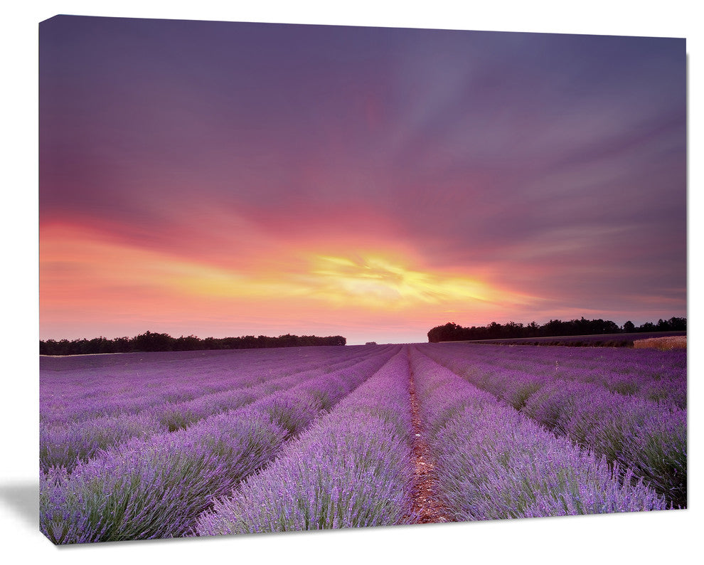 Beautiful Sunset over Lavender Rows, Landscape Canvas Wall Art, 40"x30"