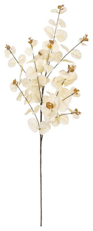 White background with the stem fully visible (alternate_white_full).