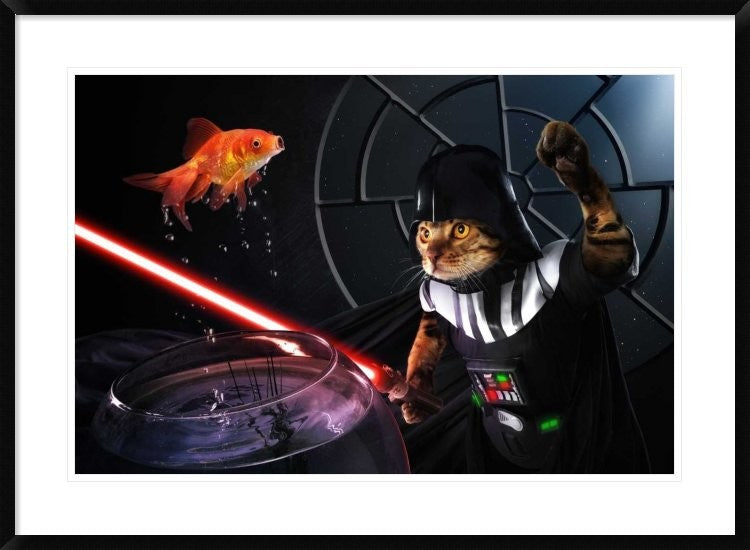 "Darth Sushi" Framed Digital Print by Christophe Kiciak, 38"x28"