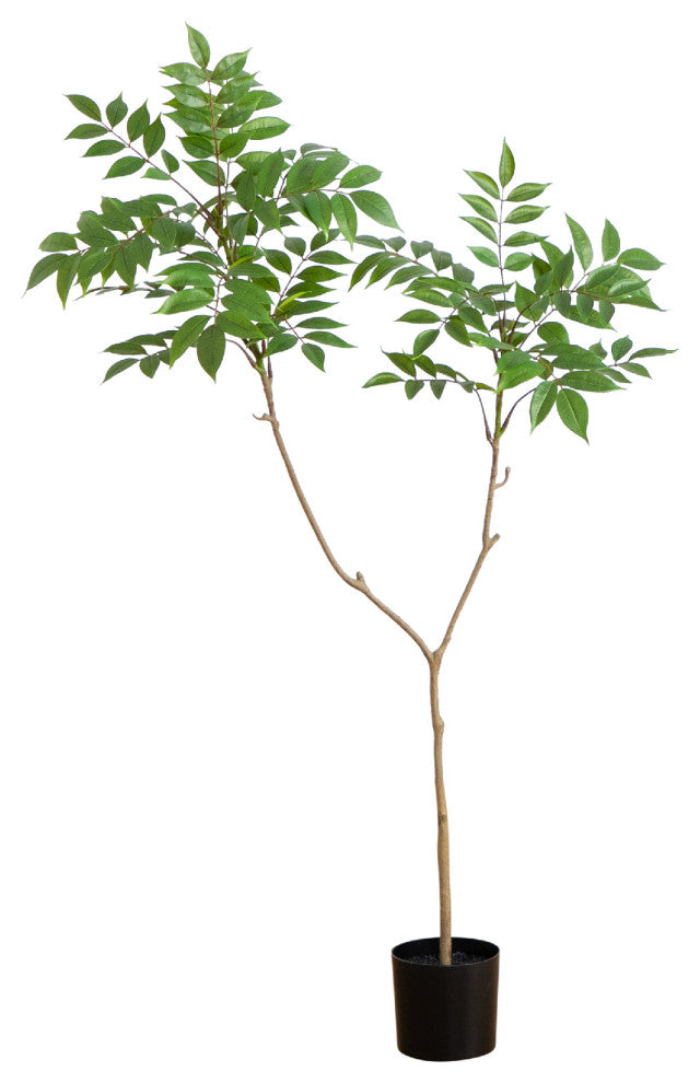 Alternate white full: full plant on white background, cropped framing.