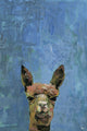 "What up Llama" Painting Print on Wrapped Canvas, 8"x12"