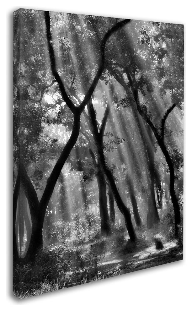 Yvette Depaepe 'Enchanted Forest ' Canvas Art, 24x18