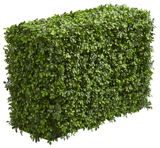 Front-facing, full view of hedge on a solid white background; matches product title and shows the entire item.