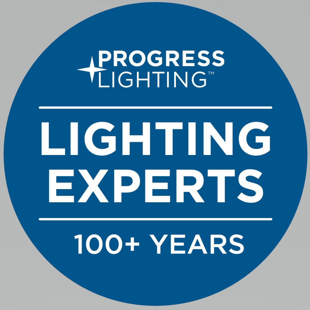Progress Lighting 2-17W LED 3000K Flush Mount, Antique Bronze