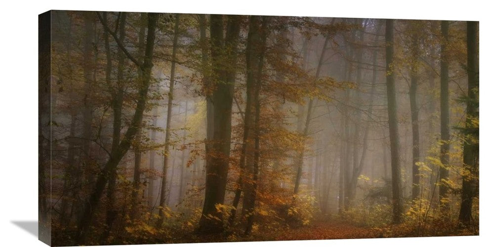 "My November" Stretched Canvas Giclee by Norbert Maier, 30x16"