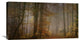 "My November" Stretched Canvas Giclee by Norbert Maier, 30x16"