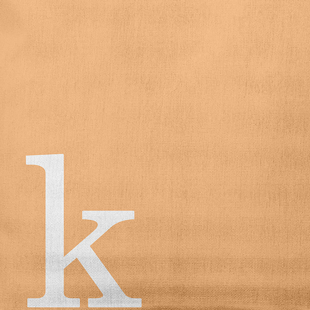 20" x 20" Modern Monogram Indoor/Outdoor Polyester Throw Pillow, Pale Gold