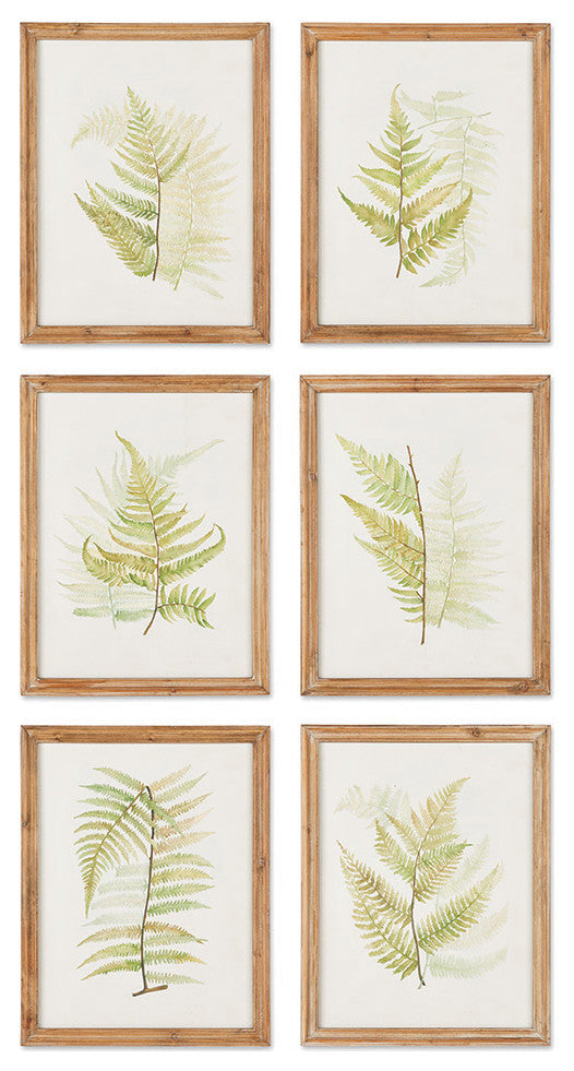 6-Piece Framed Fern Study Set