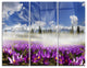 "Spring Flowers Crocuses" Photography Metal Wall Art, 3 Panels, 36"x28"