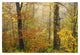 "Mixed deciduous forest in autumn, Mill Brook, Vermont" Paper Art, 32"x22"