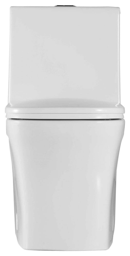 Fine Fixtures Dual-Flush Elongated One-Piece Toilet with High Efficiency Flush