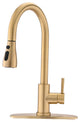 Single Handle Deck Mounted High Arc Pull Down Kitchen Faucet with Sprayer, Brush