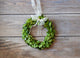 Boxwood 8" Wreath Round With Ribbon, (3-Piece Set)