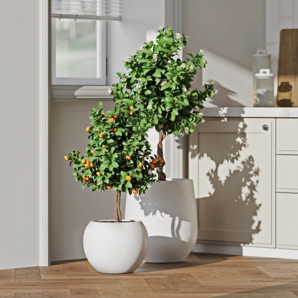 DTY Signature Mount Sherman 1-piece Fiberstone Planter, White, Medium