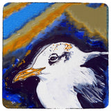 Gull Portrait Lt Coaster - 3 Sets of 4 (12 Total)