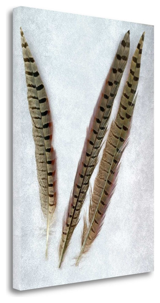 "Feathers - 3" By Alan Blaustein, Giclee Print on Gallery Wrap Canvas