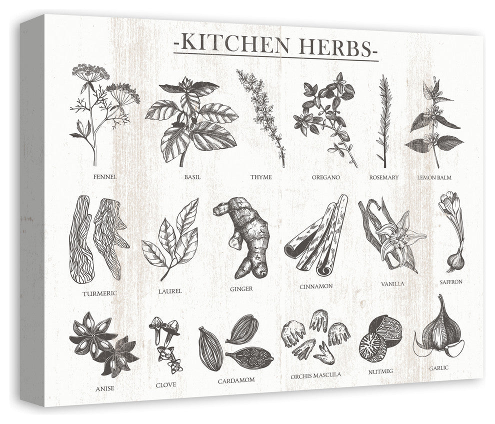 Kitchen Herbs 16x20 Print on Canvas