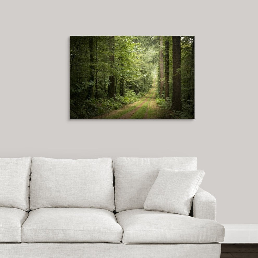 "La foret de Carnoet en Bretagne" Wrapped Canvas Art Print, 36"x24"x1.5"