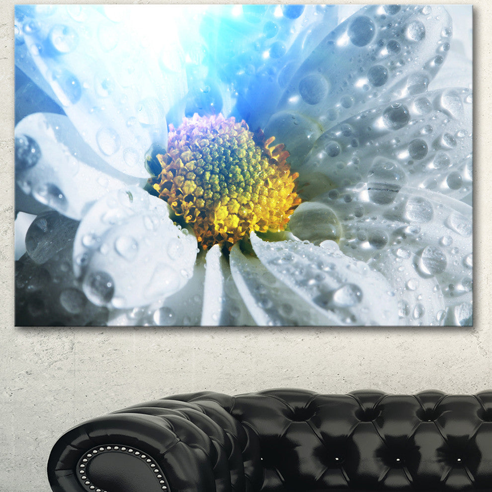 Large White Flower with Raindrops, Floral Canvas Art Print, 40"x30"