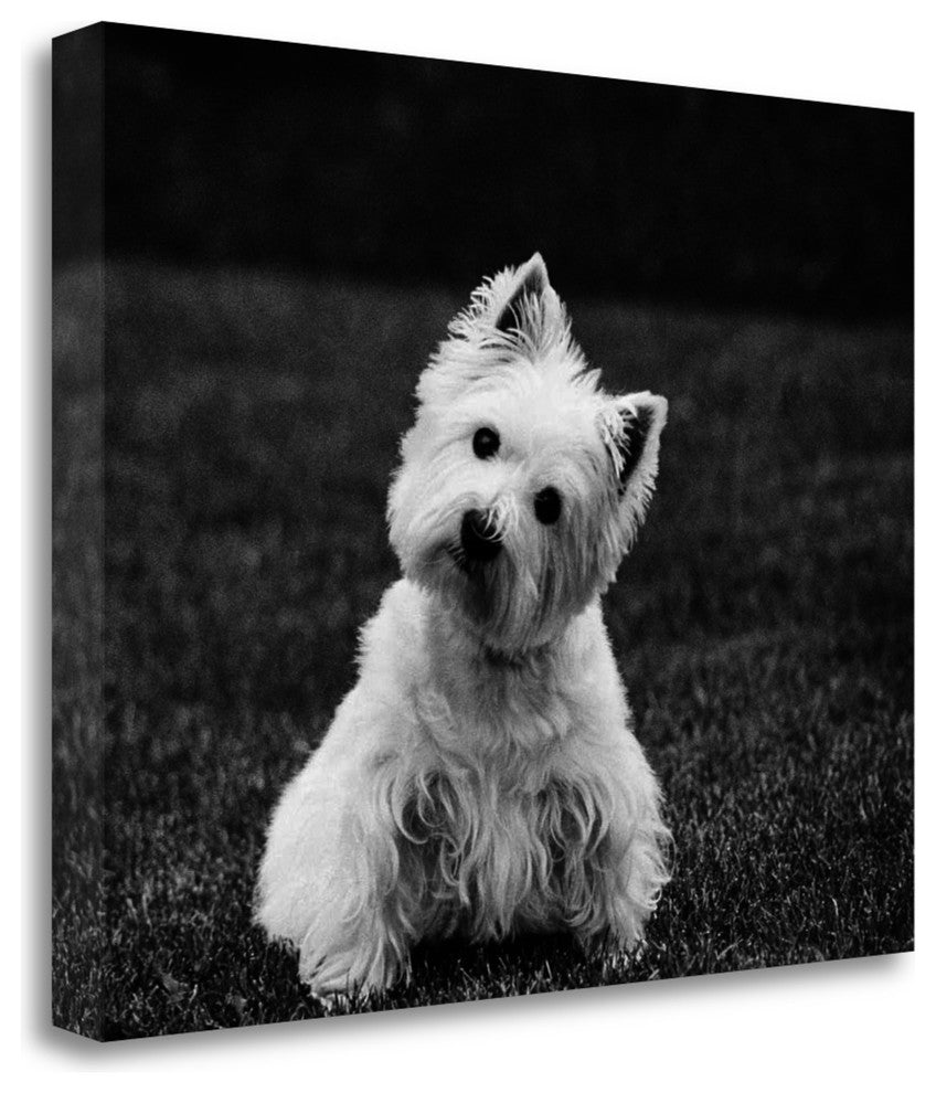"Winnie" By Kim Levin, Giclee Print on Gallery Wrap Canvas, Ready to Hang