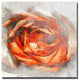 Born2BWild III Canvas Wall Art, 16"x16"