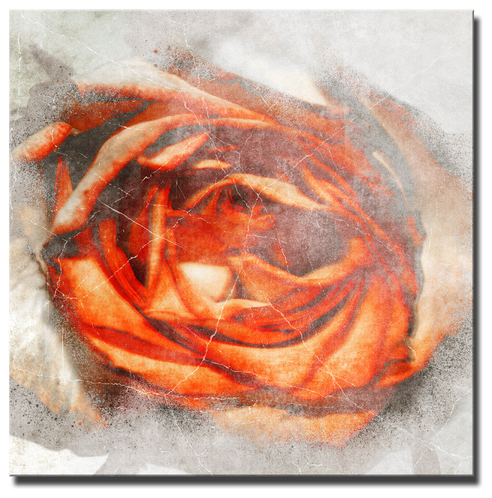 Born2BWild III Canvas Wall Art, 16"x16"