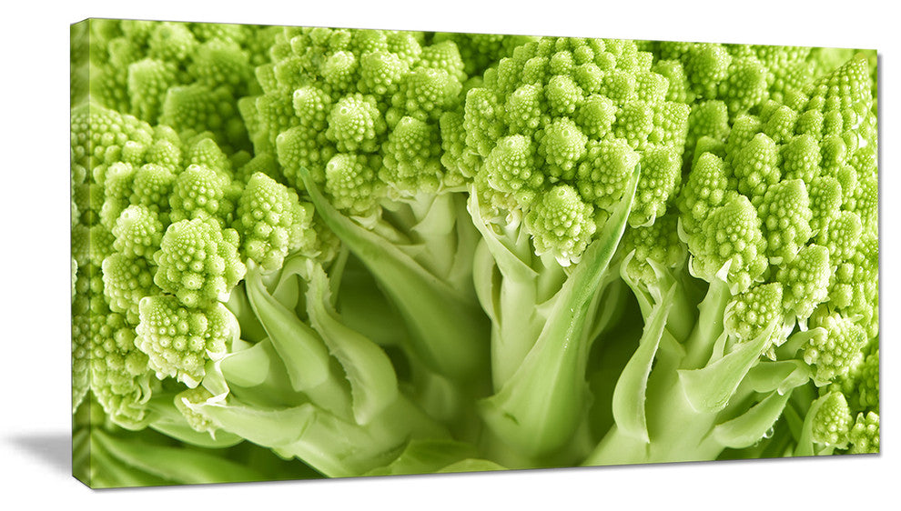"Fresh Green Romanesco Florets" Floral Canvas Photo Print, 40"x20"