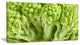 "Fresh Green Romanesco Florets" Floral Canvas Photo Print, 40"x20"