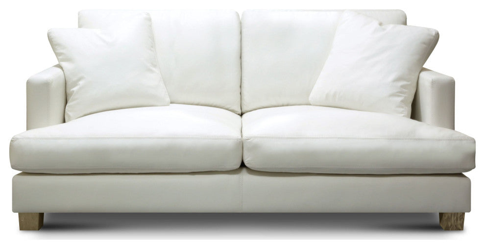 Galaxy 100% Top Grain Leather Modern Loveseat Sofa