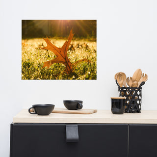Fall Leaf in Morning Sun - Autumn Nature Photograph Unframed Wall Art Print, 16" X 20"