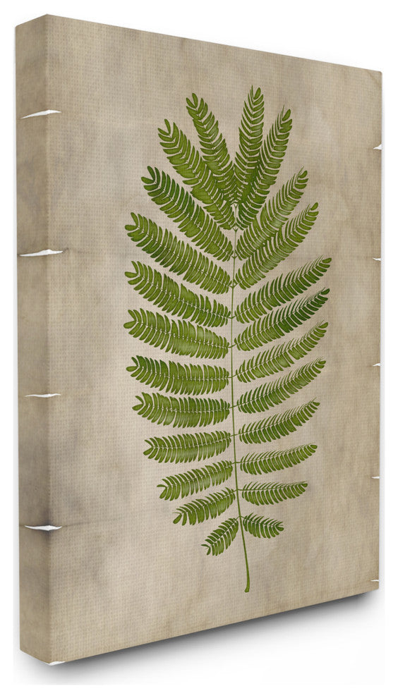 Plant Drawing Parchment Green Design, 30"x40", Canvas Art