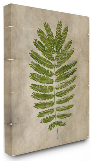 Plant Drawing Parchment Green Design, 30"x40", Canvas Art