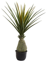62" Pandanus Artificial Plant