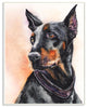 Doberman Dog Pet Animal Watercolor Painting, 10"x15"