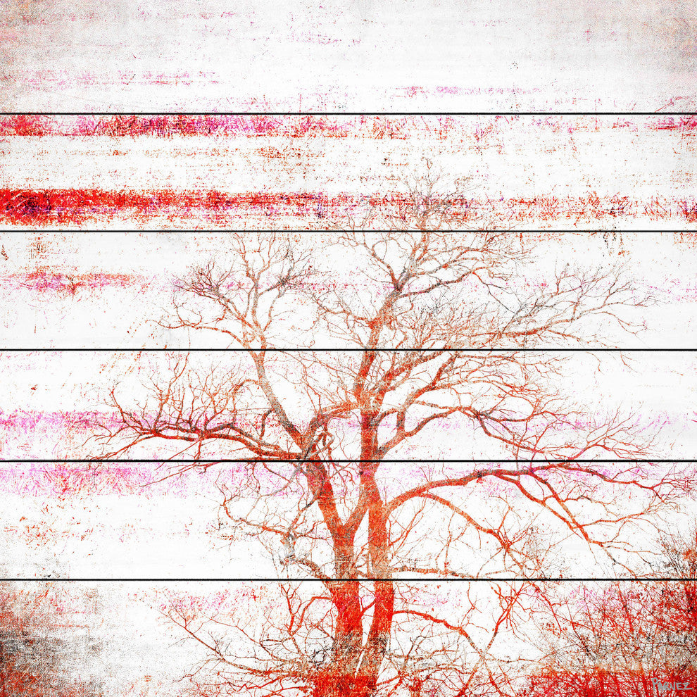 "Orange Tree" Print on White Wood, 40"x40"