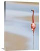 "I" Stretched Canvas Giclee by Anna Cseresnjes, 21x30"