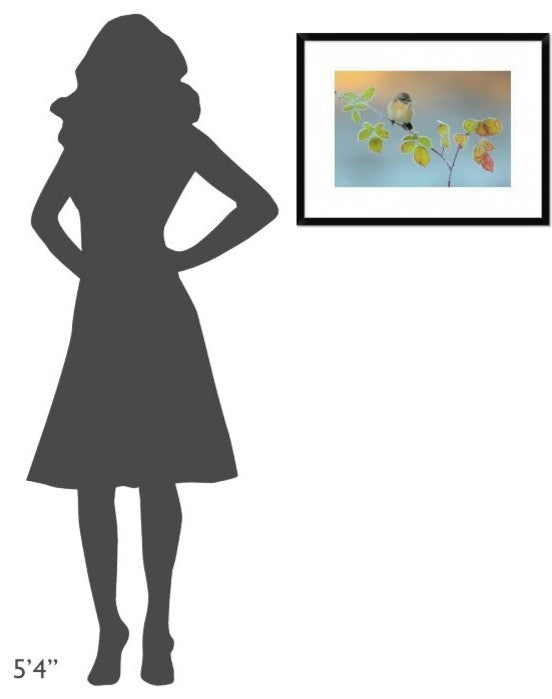 "Winter Colors" Framed Digital Print by Andres Miguel Dominguez, 26"x20"