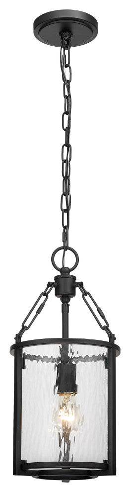 Zlite 346P8-MB 1-Light Pendant, Clear Waterglass
