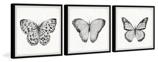 Spread Your Wings and Fly Triptych, 3-Piece Set, 12x12 Panels