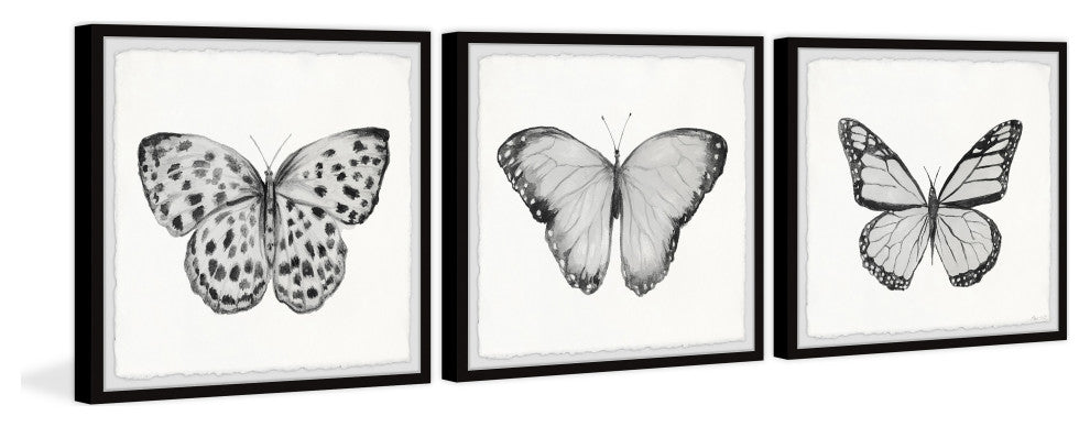 Spread Your Wings and Fly Triptych, 3-Piece Set, 12x12 Panels