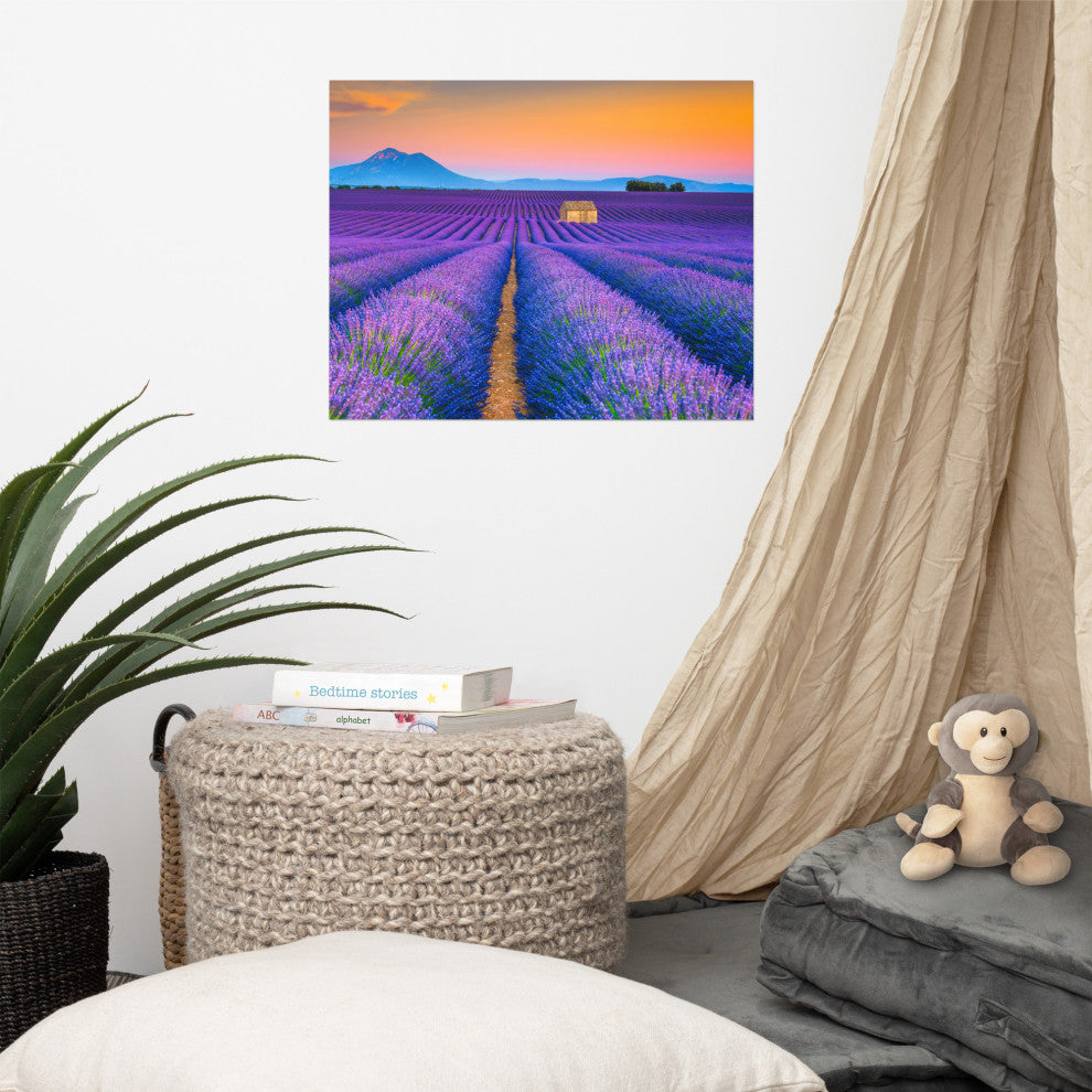 Blooming Lavender Field and Sunset Landscape Photo Unframed Wall Art Prints, 16" X 20"