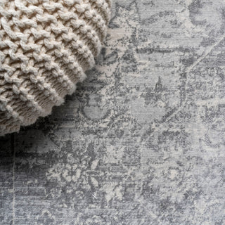 Modern Persian Vintage Medallion Light Gray 3'x5' Area Rug