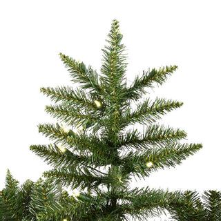 Vickerman A860986LED Camdon Fir Artificial Christmas Tree White LED Lights