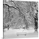 "Last Break" Wrapped Canvas Art Print, 16"x16"x1.5"