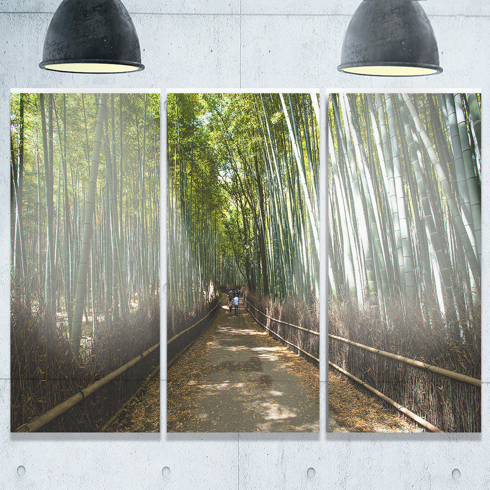 "Wide Pathway in Bamboo Forest" Forest Metal Wall Art, 3 Panels, 36"x28"