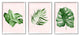 Boho Palm Leaves over Pink Modern Tropical Plants,3pc, each 24 x 30