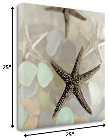 13" Four Starfish and Faded Seaglass 2 Giclee Wrap Canvas Wall Art